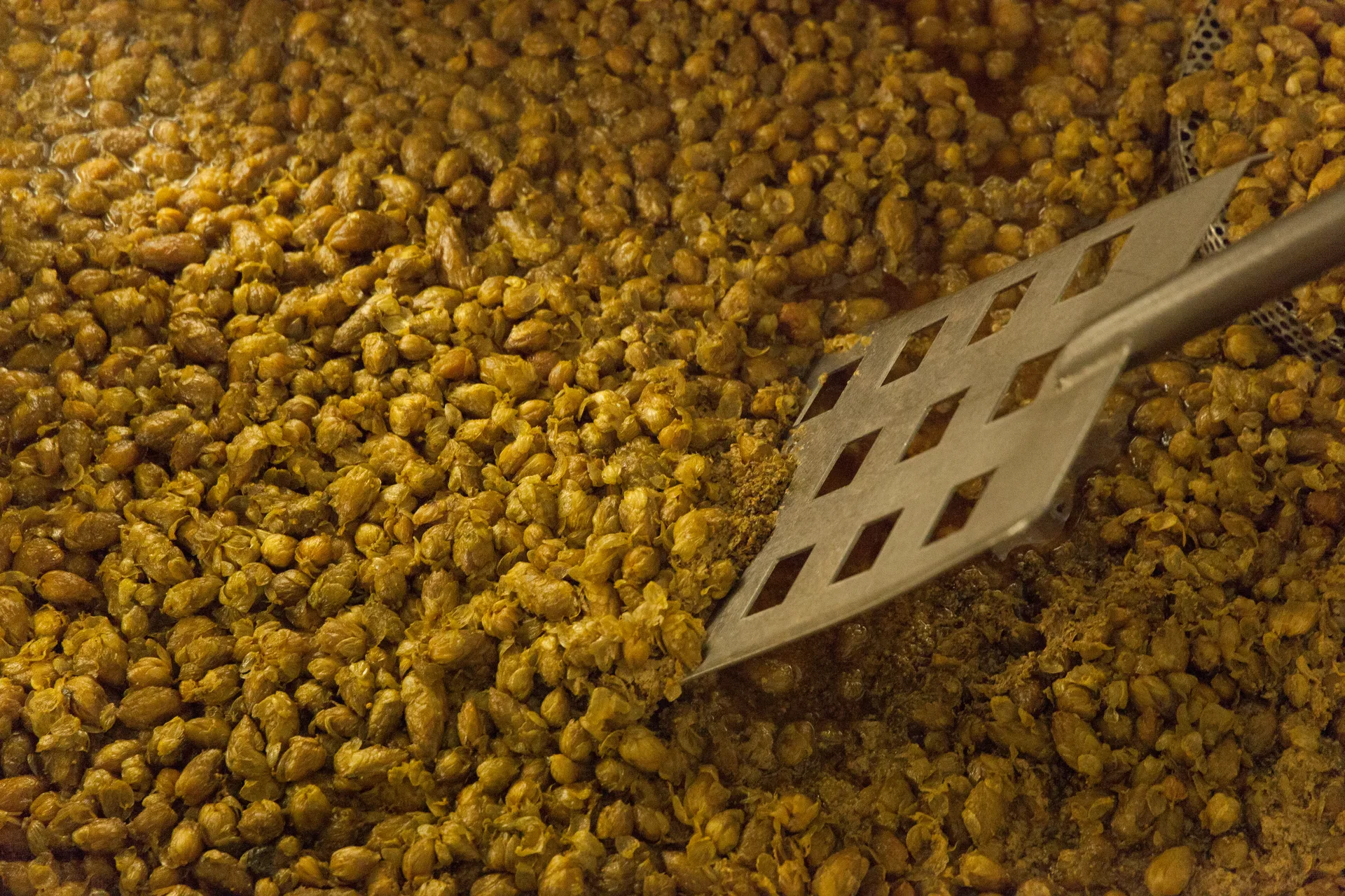 Ingredients de qualitat WHYM